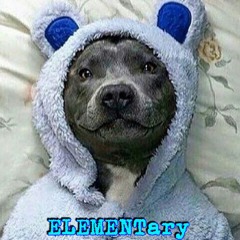 Everything I Texted You