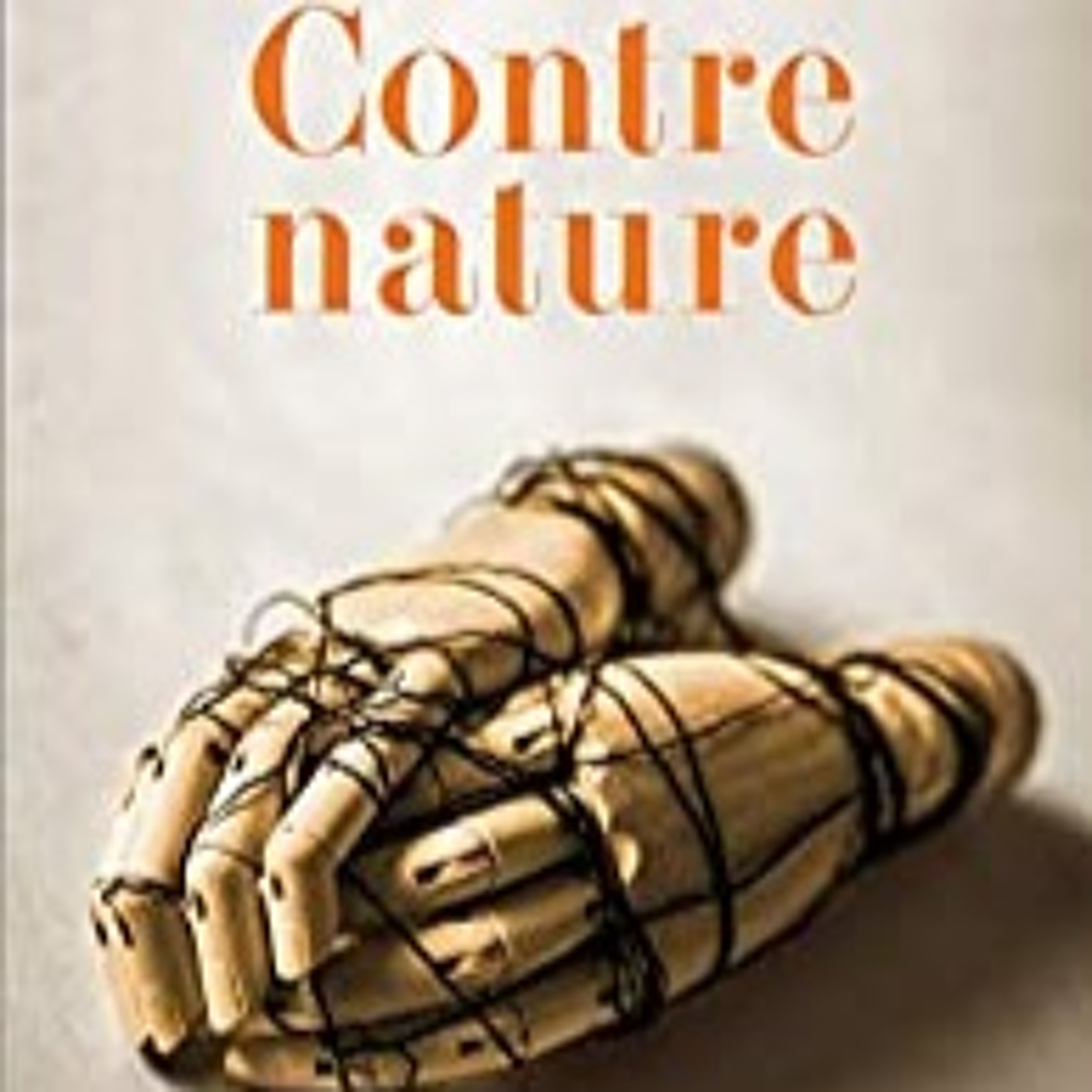 Cinerature