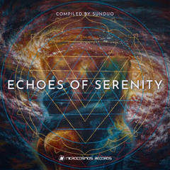 Echoes Of The Void