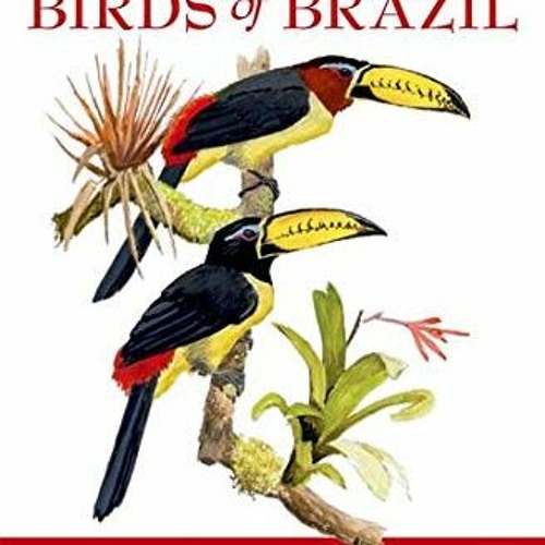 Access KINDLE PDF EBOOK EPUB A Field Guide to the Birds of Brazil by  Ber van Perlo �
