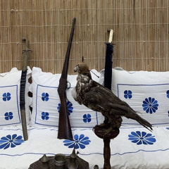 ‎⁨سحــــر بـابـل - ناصر المنصوري⁩