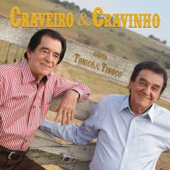 Chico Mineiro