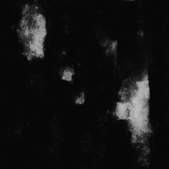 Jungle mix - 5/14/25