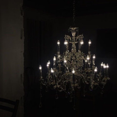 vogel im kafig samuel kim