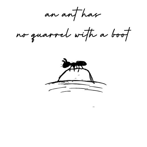 an ant has no quarrel with a boot
