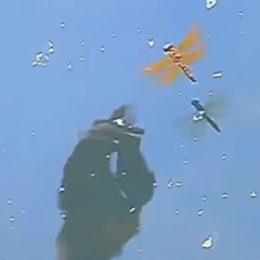 Nothing else I could do-Slowed