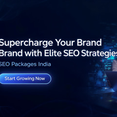 Custom SEO Packages in India for Guaranteed Growth
