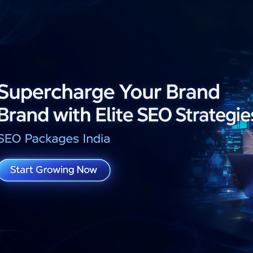 Custom SEO Packages in India for Guaranteed Growth