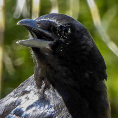 its a lapse not a relapse (prod.  lapse.)