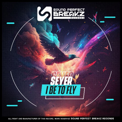 Seyer - I Be To Fly (Original Mix)