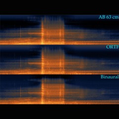 2025.02.11 Mic Array Parallels: Indian Pacific Transcontinental Passenger Train.