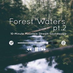 Forest Waters 2 – 10-Minute Mountain Stream Soundscape (preview)