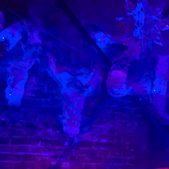 dennis • MYZL @ Crack Bellmer 21/12/2024