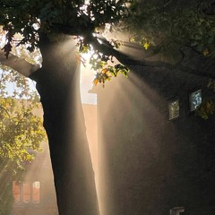 Following The Sun(Remix)