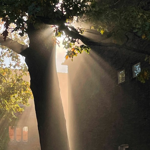 Following The Sun(Remix)