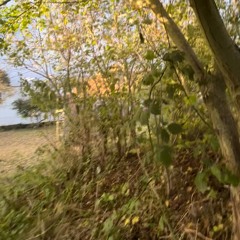 Clementine Douglas x Robert Miles