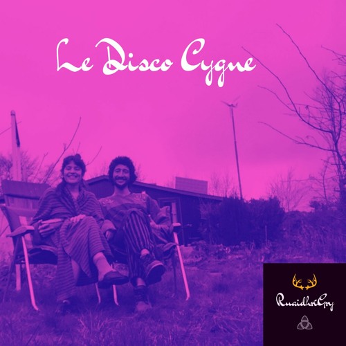 04 Le Disco Cygne