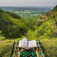 وسيق الّذين اتقوا ربهم إِلى الجنة زمرًا :))🪴