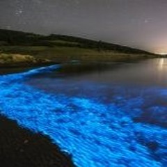 Deep Blue 14.11.2020 live@eRadio-one