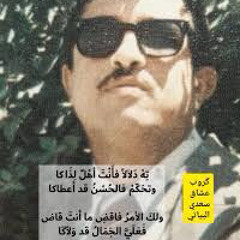 سعدي البياتي - الشمس قد قسمت نصفين