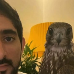 ميحد حمد - بلحفظ