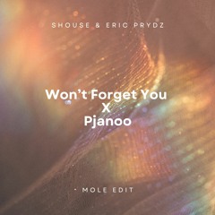 Shouse & Eric Prydz - Pjanoo (MOLEs Won't Forget You Edit)