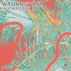 Kiriku - Washingtonia (Noema Edit) [The Magic Movement]