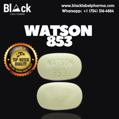 Blue Echo (Inspired by Hydro Watson 853)