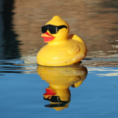 Rubber Duck (FREE DOWNLOAD)