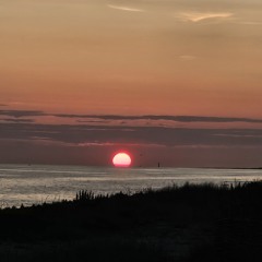 Summer Love