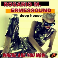 WHERE ARE YOU NOW / ROSARIO M. & ERMESSOUND