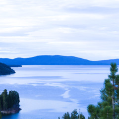 John Williams - Buckbeak's Flight ( Orchestral Cover )