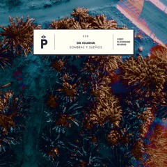 PREMIERE - Da Iguana - Sombra Selvatica (Cabizbajo Remix) (Playground Records)