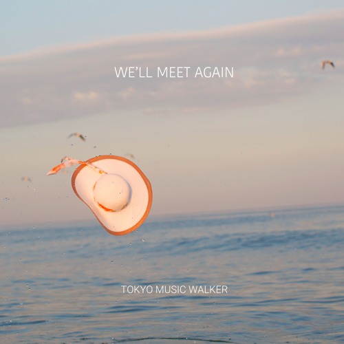 We'll Meet Again