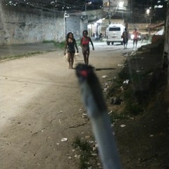 Montagem Tropa da Gonçalves 🦖