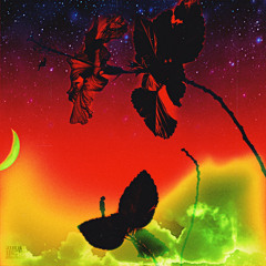 money loco (prod. JDOT)