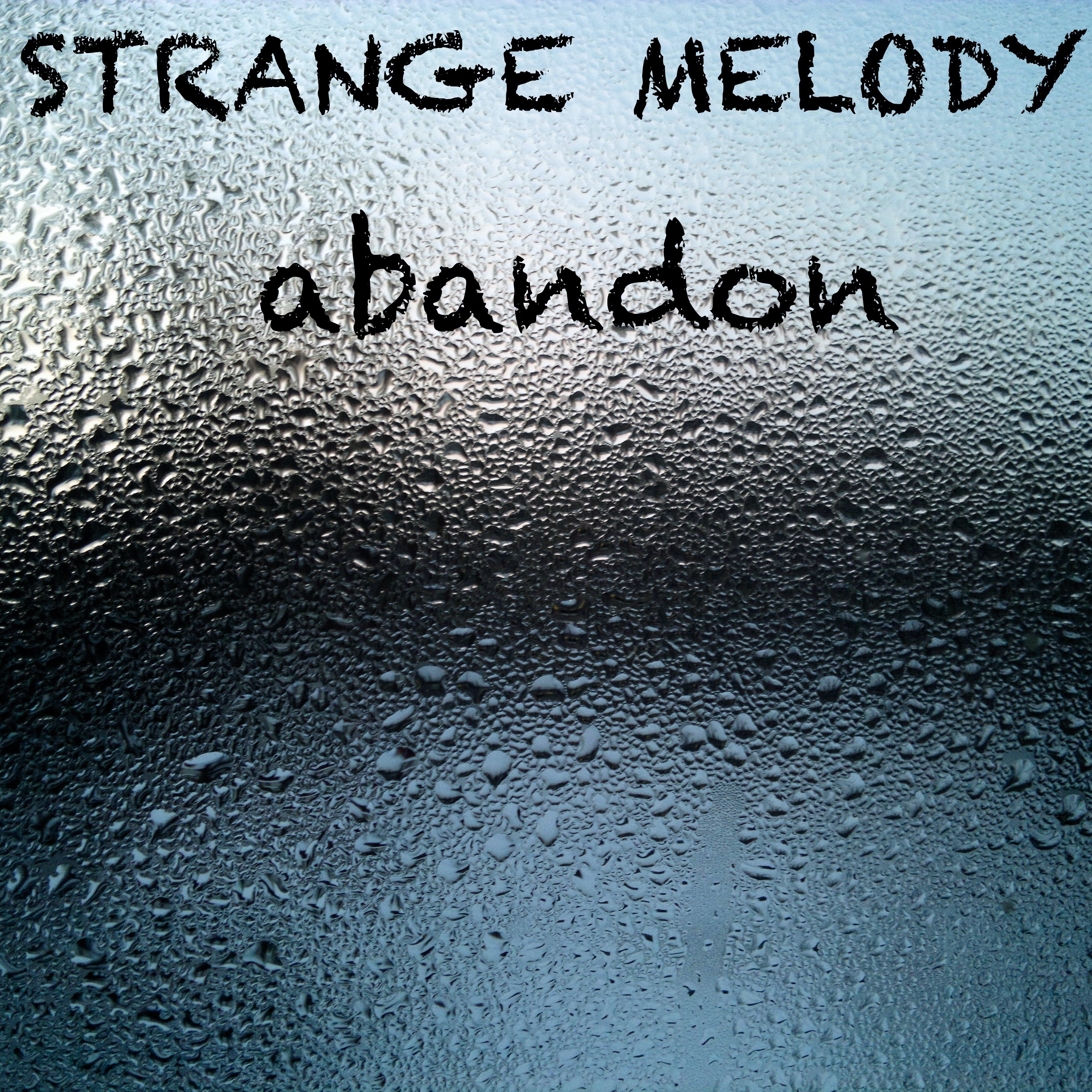 Track cover