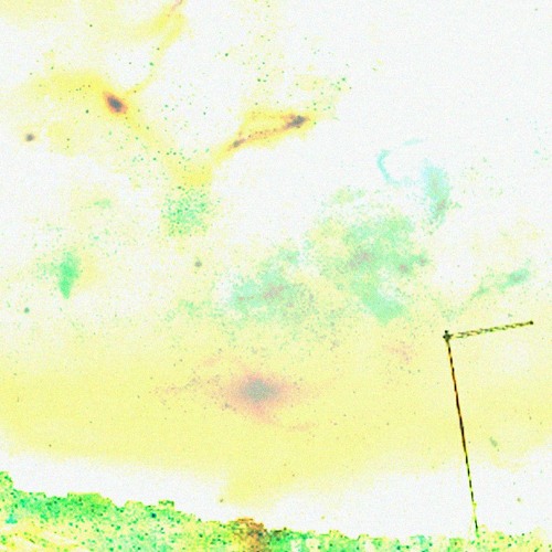 If It Were That Simple W.XAMO