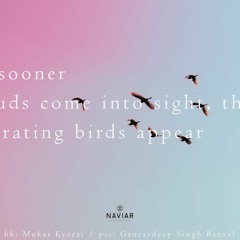 Zugvögel (naviarhaiku411)