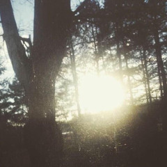 like my gun (prod@xoolice)