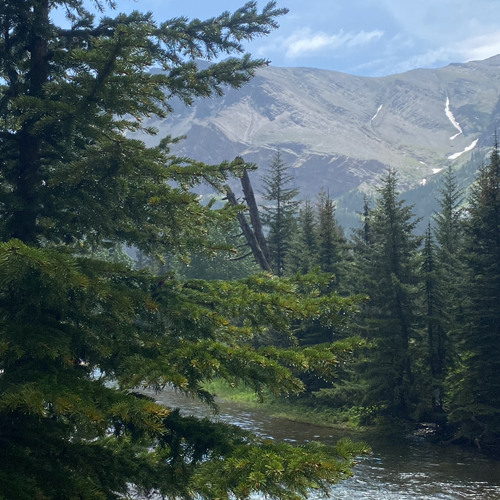 Come to Me - Matthew 11:28-30 (w/ Elisabeth)