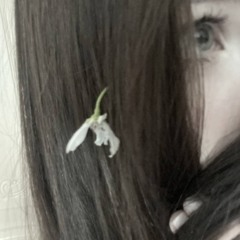 saanwerstt<*