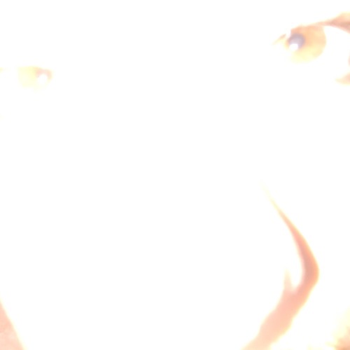 STORMS REVAMP - 2024 VAULT