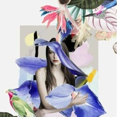 Molcho - Tech From India