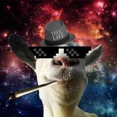 Walter Jugstar - Juug Simulator Freestyle (Goat Flow) [DJ EXECUTION GANG + GSTFS]