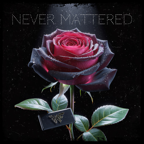R.A.F - Never Mattered