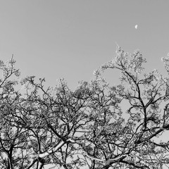 La explicación más directa