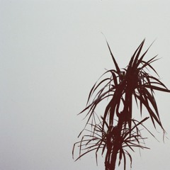 waste of time (no mix)