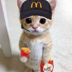 I'm lovin' it !
