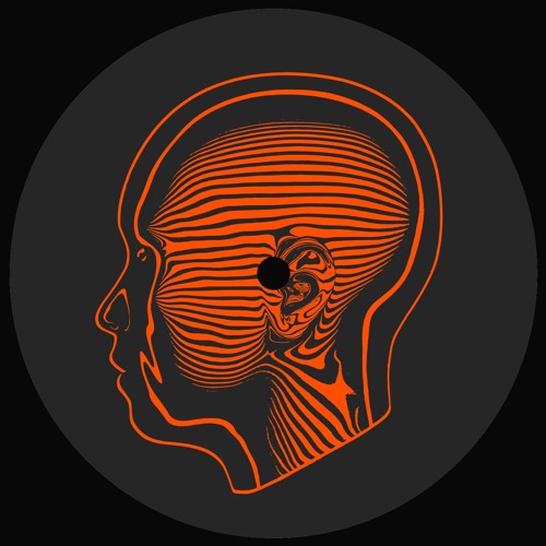 Adam Curtain - Whistling Wizard